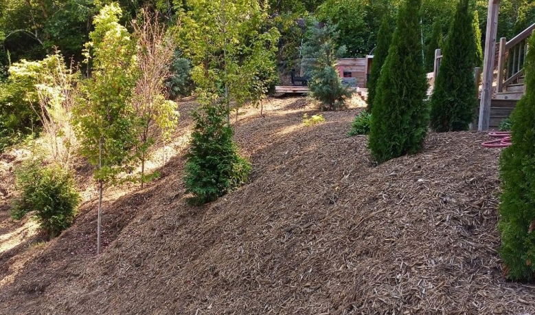 asheville-landscaping